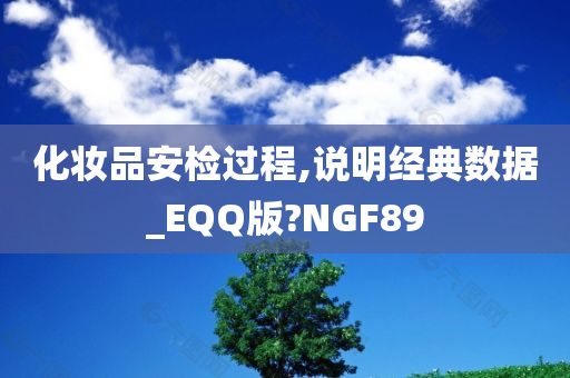 化妆品安检过程,说明经典数据_EQQ版?NGF89