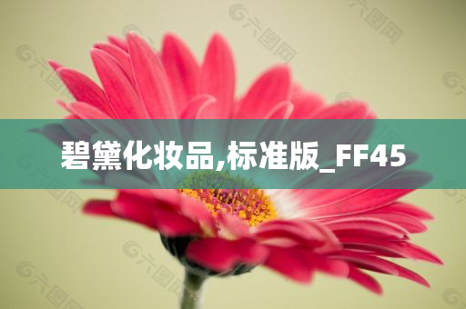 碧黛化妆品,标准版_FF45