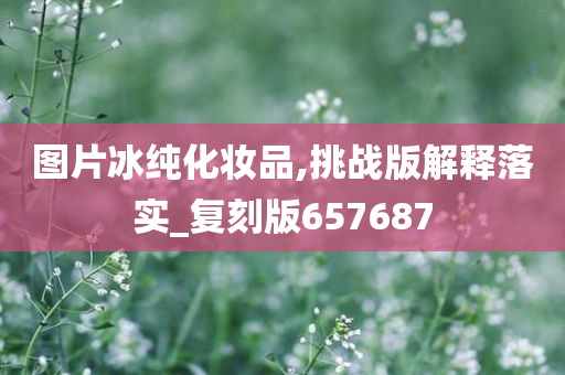 图片冰纯化妆品,挑战版解释落实_复刻版657687