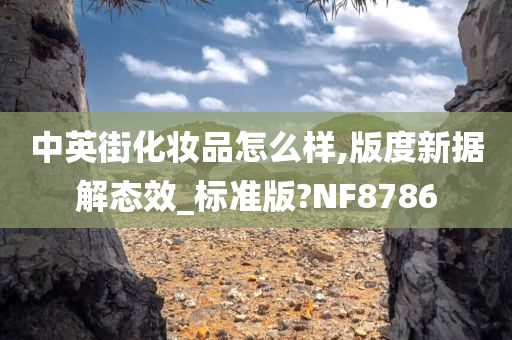 中英街化妆品怎么样,版度新据解态效_标准版?NF8786