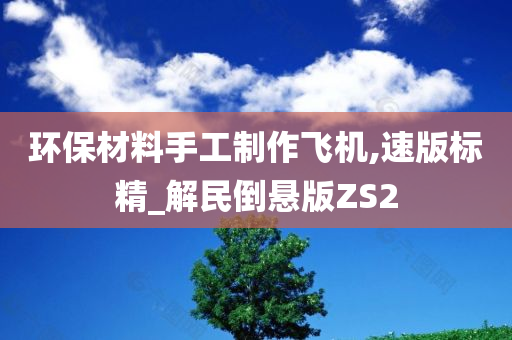 环保材料手工制作飞机,速版标精_解民倒悬版ZS2