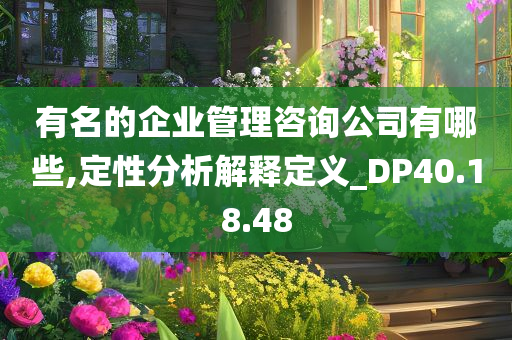 有名的企业管理咨询公司有哪些,定性分析解释定义_DP40.18.48