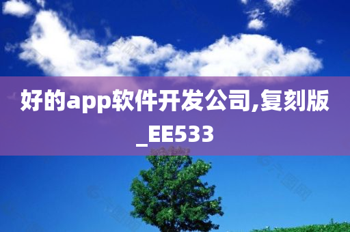 好的app软件开发公司,复刻版_EE533