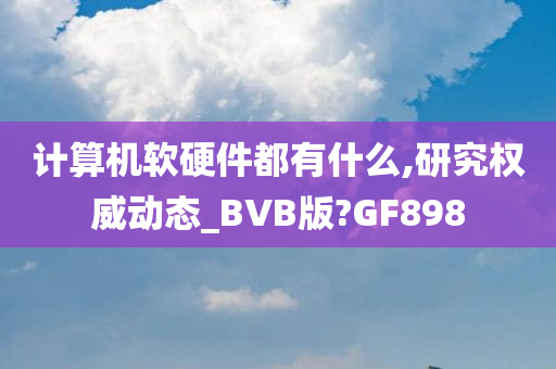 计算机软硬件都有什么,研究权威动态_BVB版?GF898