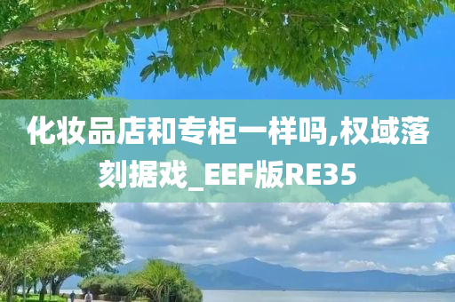 化妆品店和专柜一样吗,权域落刻据戏_EEF版RE35