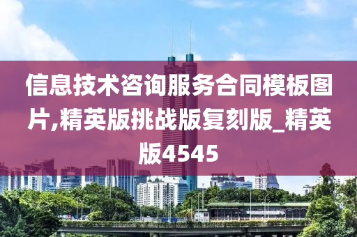 信息技术咨询服务合同模板图片,精英版挑战版复刻版_精英版4545