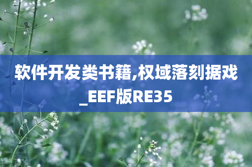 软件开发类书籍,权域落刻据戏_EEF版RE35