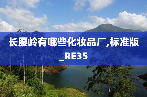 长腰岭有哪些化妆品厂,标准版_RE35