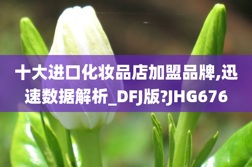 十大进口化妆品店加盟品牌,迅速数据解析_DFJ版?JHG676