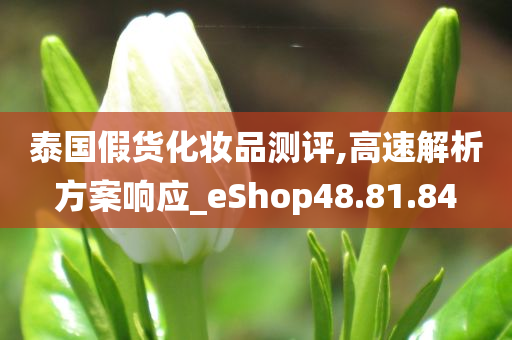 泰国假货化妆品测评,高速解析方案响应_eShop48.81.84