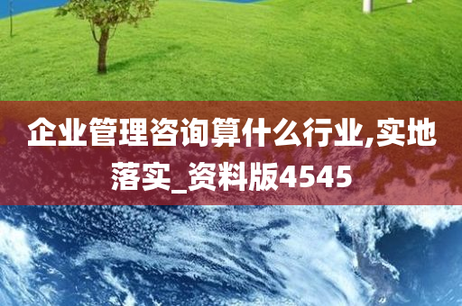 企业管理咨询算什么行业,实地落实_资料版4545