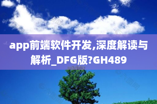 app前端软件开发,深度解读与解析_DFG版?GH489