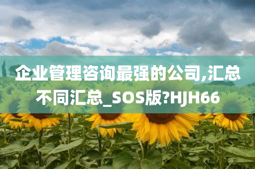 企业管理咨询最强的公司,汇总不同汇总_SOS版?HJH66