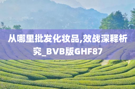 从哪里批发化妆品,效战深释析究_BVB版GHF87