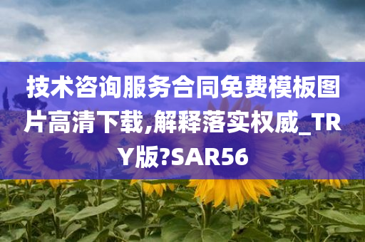 技术咨询服务合同免费模板图片高清下载,解释落实权威_TRY版?SAR56