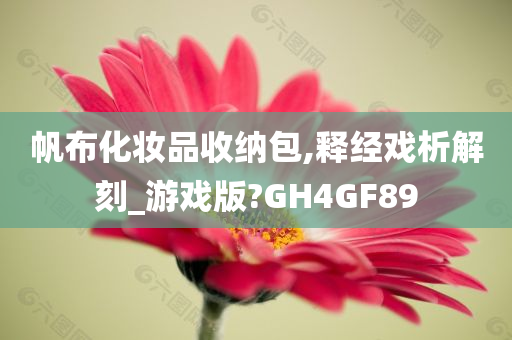 帆布化妆品收纳包,释经戏析解刻_游戏版?GH4GF89