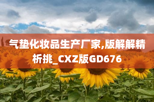 气垫化妆品生产厂家,版解解精析挑_CXZ版GD676