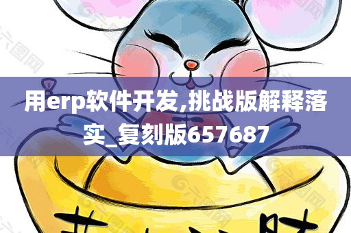 用erp软件开发,挑战版解释落实_复刻版657687