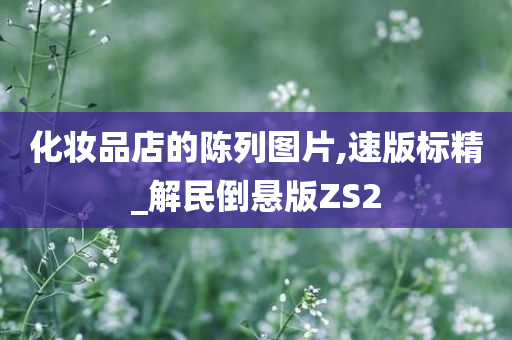 化妆品店的陈列图片,速版标精_解民倒悬版ZS2