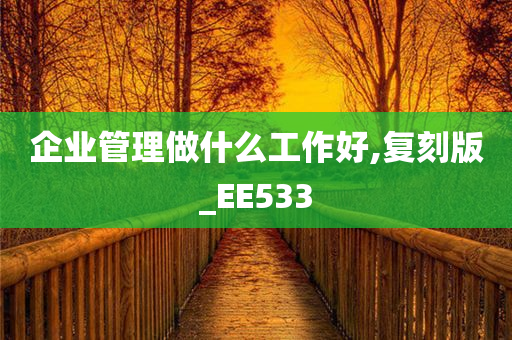 企业管理做什么工作好,复刻版_EE533