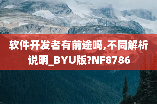 软件开发者有前途吗,不同解析说明_BYU版?NF8786