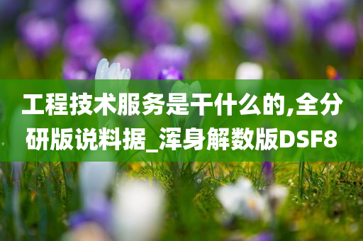 工程技术服务是干什么的,全分研版说料据_浑身解数版DSF8