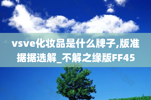 vsve化妆品是什么牌子,版准据据选解_不解之缘版FF45