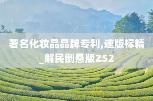 著名化妆品品牌专利,速版标精_解民倒悬版ZS2