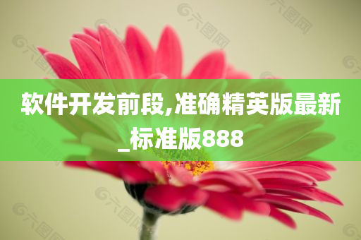 软件开发前段,准确精英版最新_标准版888