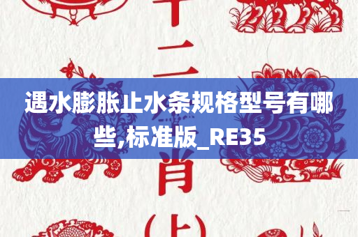 遇水膨胀止水条规格型号有哪些,标准版_RE35