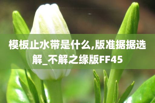 模板止水带是什么,版准据据选解_不解之缘版FF45