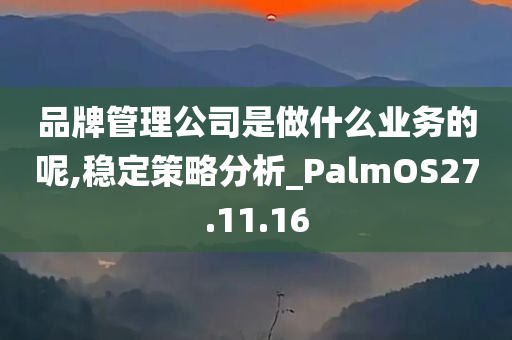 品牌管理公司是做什么业务的呢,稳定策略分析_PalmOS27.11.16