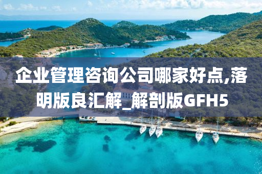 企业管理咨询公司哪家好点,落明版良汇解_解剖版GFH5