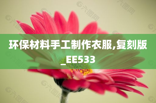 环保材料手工制作衣服,复刻版_EE533