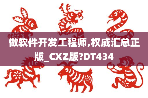 做软件开发工程师,权威汇总正版_CXZ版?DT434