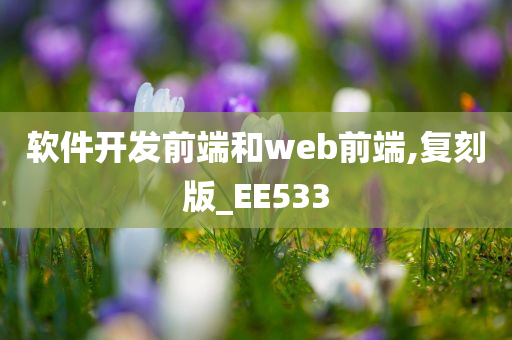 软件开发前端和web前端,复刻版_EE533