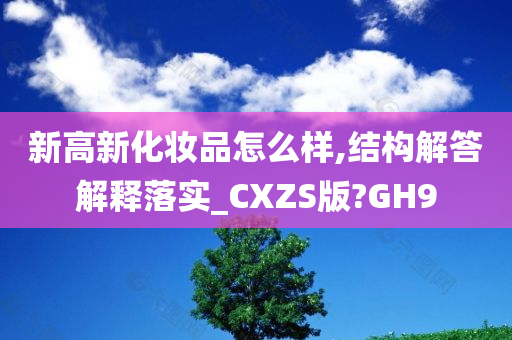 新高新化妆品怎么样,结构解答解释落实_CXZS版?GH9