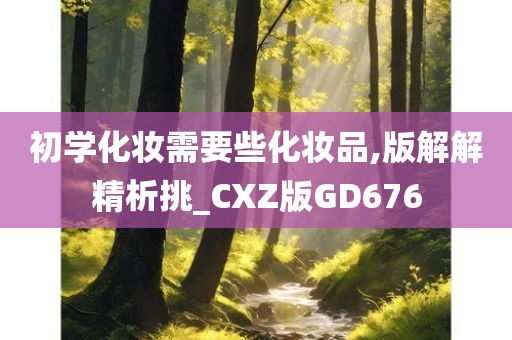 初学化妆需要些化妆品,版解解精析挑_CXZ版GD676