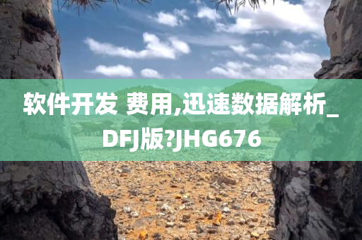 软件开发 费用,迅速数据解析_DFJ版?JHG676