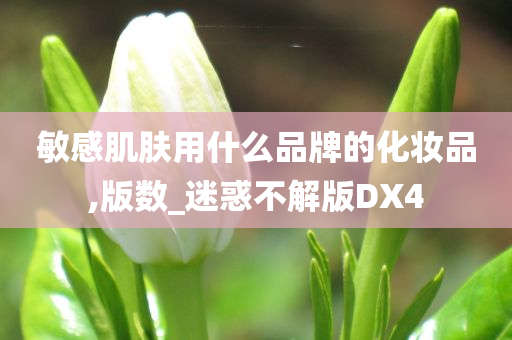 敏感肌肤用什么品牌的化妆品,版数_迷惑不解版DX4