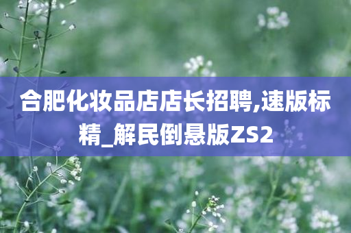 合肥化妆品店店长招聘,速版标精_解民倒悬版ZS2