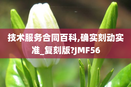 技术服务合同百科,确实刻动实准_复刻版?JMF56