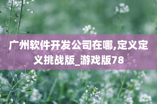 广州软件开发公司在哪,定义定义挑战版_游戏版78