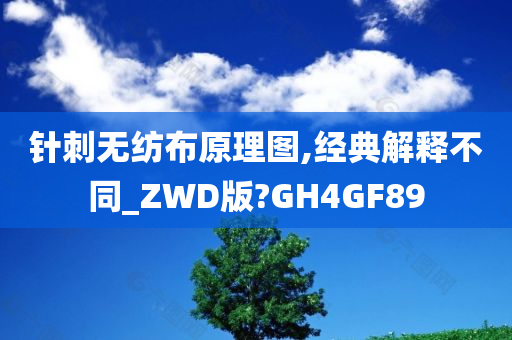 针刺无纺布原理图,经典解释不同_ZWD版?GH4GF89