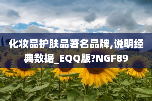 化妆品护肤品著名品牌,说明经典数据_EQQ版?NGF89