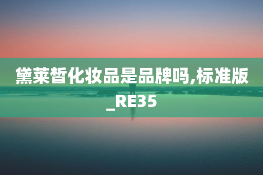 黛莱皙化妆品是品牌吗,标准版_RE35