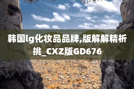 韩国lg化妆品品牌,版解解精析挑_CXZ版GD676