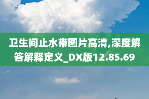 卫生间止水带图片高清,深度解答解释定义_DX版12.85.69