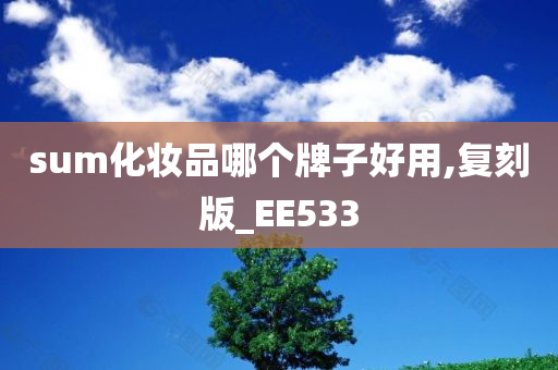 sum化妆品哪个牌子好用,复刻版_EE533