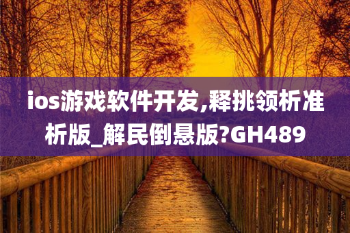 ios游戏软件开发,释挑领析准析版_解民倒悬版?GH489